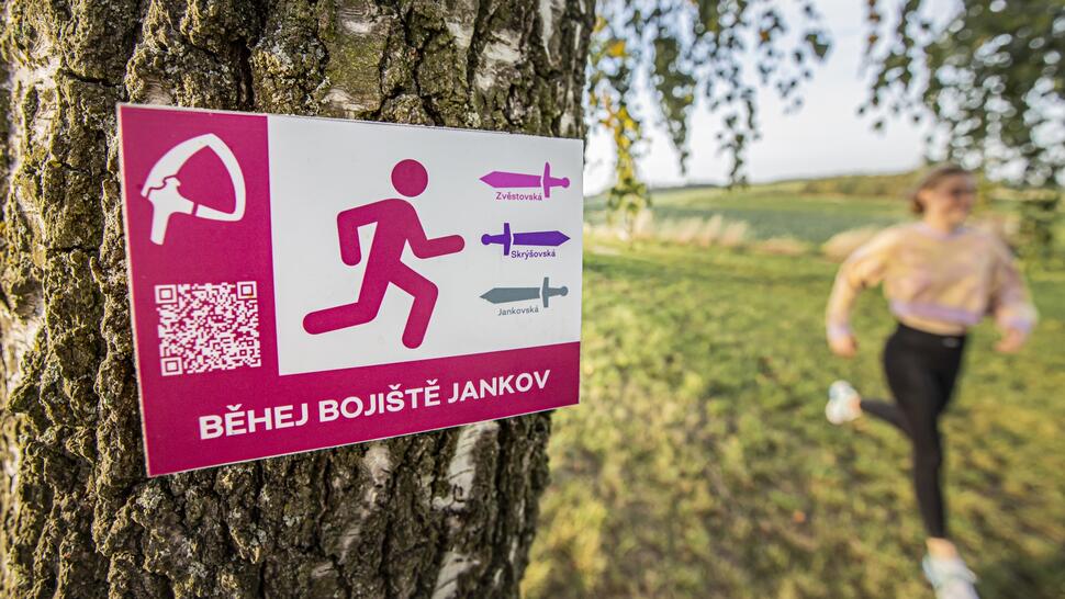 Blaník bitva u Jankova