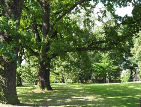 Blaník Zámek a park Načeradec