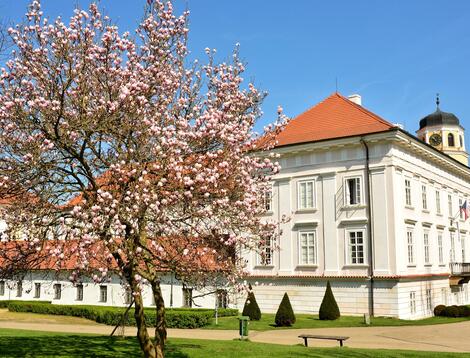 Blaník exkurze Muzeum Podblanicka