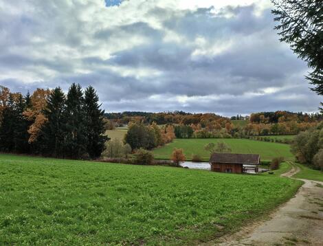 Blaník naučná stezka Kondrac