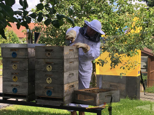 Včelařské poradní čtvrtky ve Včelím světě Hulice