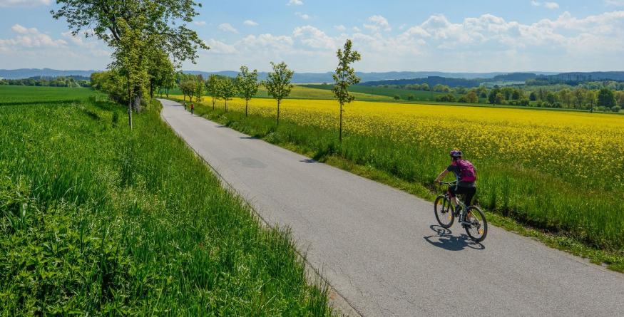 Blaník Votická kopretina – Přes zámek Jemniště pod sekvoje