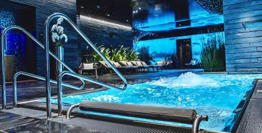 Blaník Spa a Wellness Čapí hnízdo