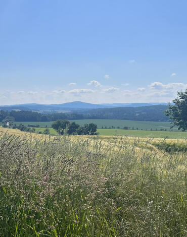 Běhej bojiště Jankov - Skrýšovská